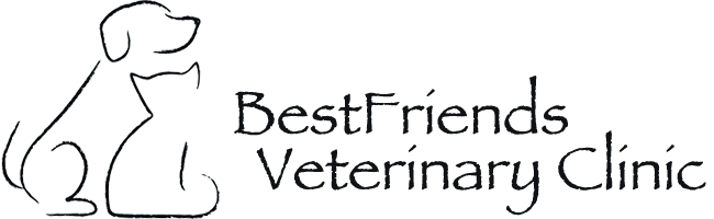 BestFriends Veterinary Clinic